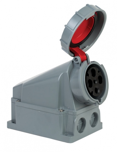 Розетка (Eğik Gövdeli) / 406622