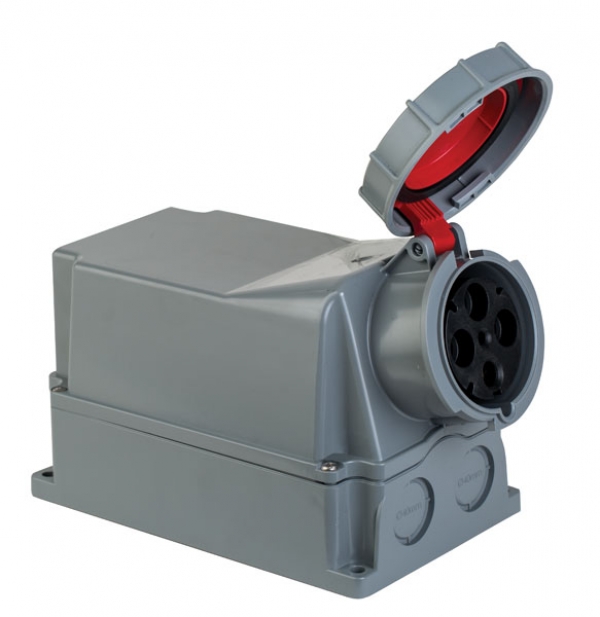 Розетка (Eğik Gövdeli) / 406625